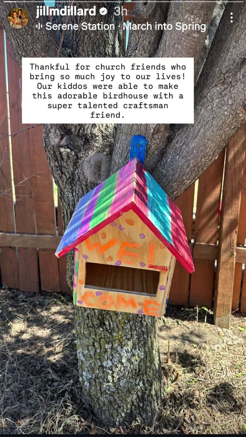 Jill Duggar Instagram Story